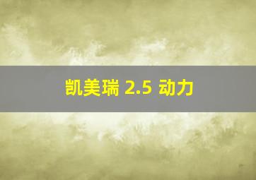 凯美瑞 2.5 动力